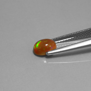 Opale cioccolato naturale multicolore da 0,63 ct, trasparente, trasparente/traslucido
