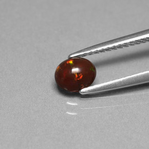 Opale di cioccolato Multicolore naturale da 0.43 ct, Taglio ovale, Opaco