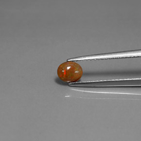 Opale di cioccolato Multicolore naturale da 0.34 ct, Taglio ovale, Opaco