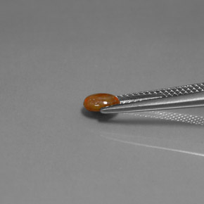 Opale di cioccolato Multicolore naturale da 0.34 ct, Taglio ovale, Opaco