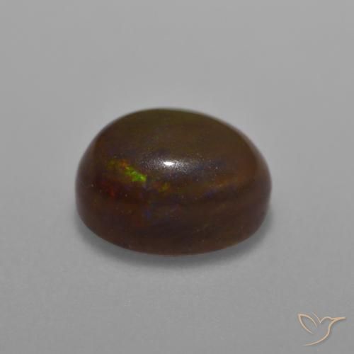 Opale di cioccolato Multicolore naturale da 1.26 ct, Ovale, Traslucido