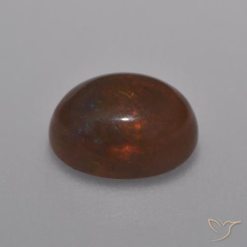 Opale di cioccolato Multicolore naturale da 1.01 ct, Ovale, Traslucido
