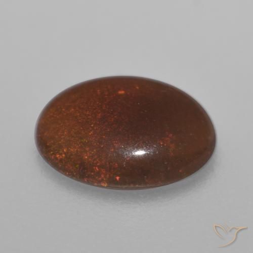 Opale di cioccolato Marrone caldo naturale da 0.59 ct, Ovale, Traslucido