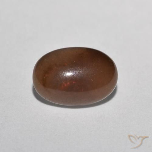 Opale di cioccolato Multicolore naturale da 0.49 ct, Ovale, Traslucido