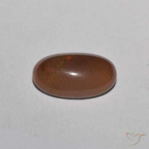 Opale di cioccolato Multicolore naturale da 0.49 ct, Ovale, Traslucido