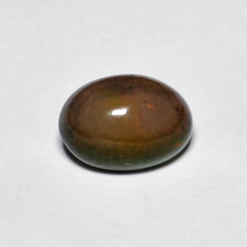 Opale di cioccolato Hickory Brown naturale da 0.73 ct, Taglio ovale, Opaco