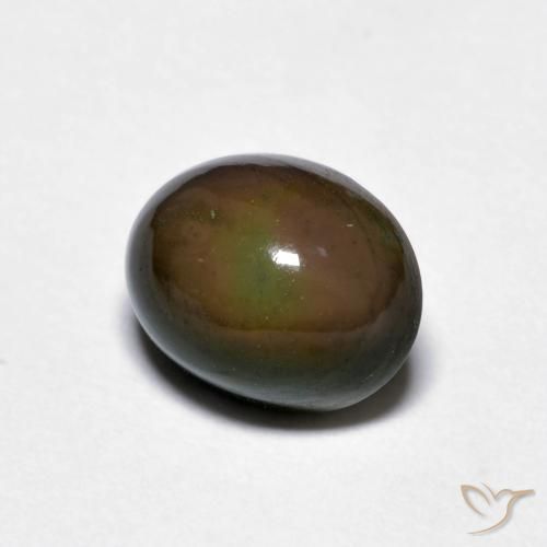 Opale di cioccolato Marrone scuro naturale da 1.56 ct, Ovale, Opaco