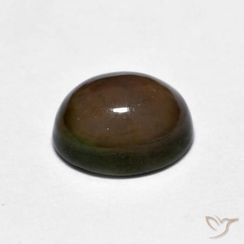 Opale di cioccolato Marrone scuro naturale da 1.56 ct, Ovale, Opaco