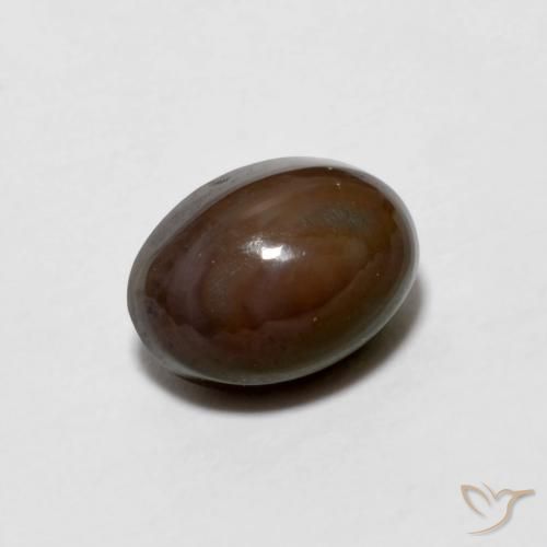 Opale di cioccolato Marrone scuro naturale da 0.67 ct, Ovale, Opaco