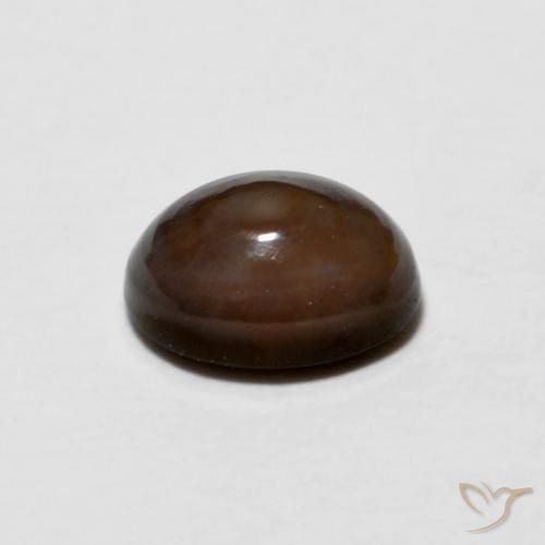 Opale di cioccolato Marrone scuro naturale da 0.67 ct, Ovale, Opaco
