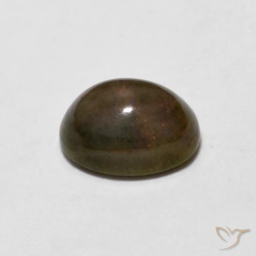 Opale di cioccolato Marrone dorato naturale da 0.66 ct, Ovale, Opaco