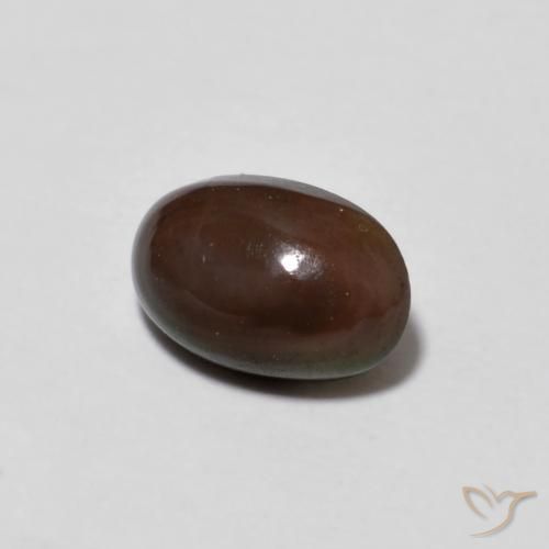 Opale di cioccolato Multicolore naturale da 0.50 ct, Ovale, Traslucido