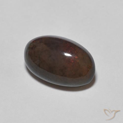 Opale di cioccolato Marrone scuro naturale da 1.24 ct, Ovale, Opaco