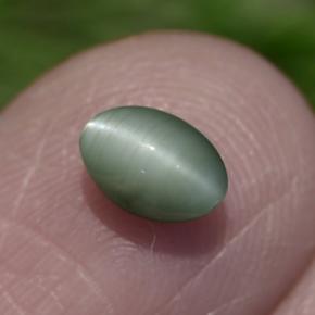 Chrysoberyl cat's eye naturale verde da 0,86 ct, taglio ovale, opaco