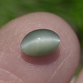 Chrysoberyl cat's eye naturale verde da 0,86 ct, taglio ovale, opaco