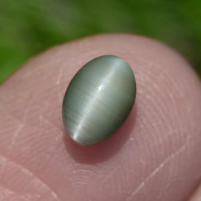 Chrysoberyl cat's eye naturale verde da 0,86 ct, taglio ovale, opaco
