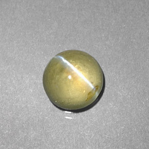 Crisoberillo effetto occhio di gatto Verde naturale da 1.56 ct, Trasparente, Trasparente/Traslucido