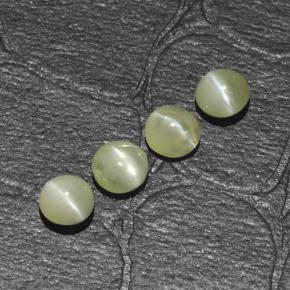 Chrysoberyl cat's eye naturale verde da 1,54 ct, taglio rotondo, traslucido