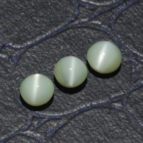 Gemme di Crisoberillo effetto occhio di gatto Verde naturale da 1.31 ct, Taglio rotondo, Traslucido