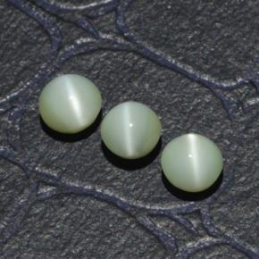 Gemme di Crisoberillo effetto occhio di gatto Verde naturale da 1.31 ct, Taglio rotondo, Traslucido