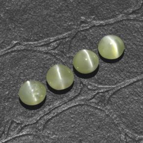 Chrysoberyl cat's eye naturale verde da 1,66 ct, taglio rotondo, traslucido