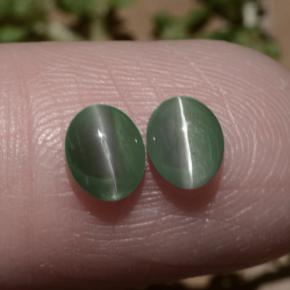 Chrysoberyl cat's eye naturale verde da 1,06 ct, taglio ovale, traslucido