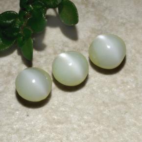 Gemme di Crisoberillo effetto occhio di gatto Verde naturale da 1.31 ct, Rotondo, Opaco