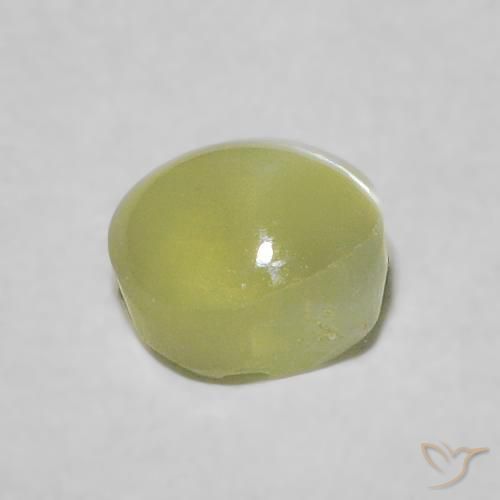 Crisoberillo effetto occhio di gatto Verde giallastro naturale da 0.54 ct, Ovale, Trasparente
