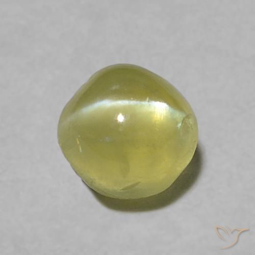 Crisoberillo effetto occhio di gatto Verde chiaro naturale da 0.39 ct, Rotondo, Trasparente