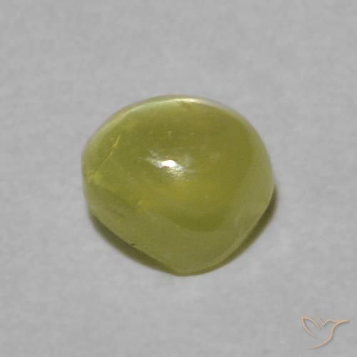 Crisoberillo effetto occhio di gatto Verde chiaro naturale da 0.39 ct, Rotondo, Trasparente