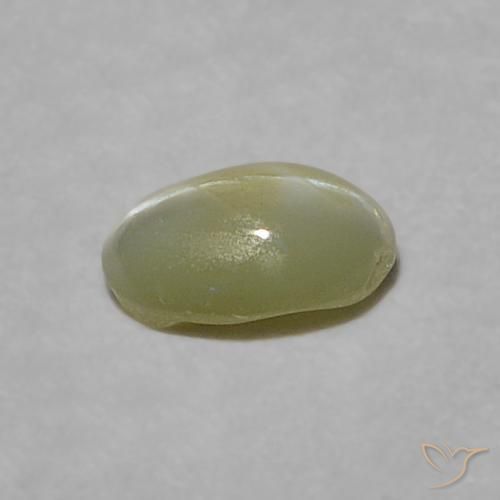 Crisoberillo effetto occhio di gatto Verde giallastro naturale da 0.23 ct, Ovale, Traslucido