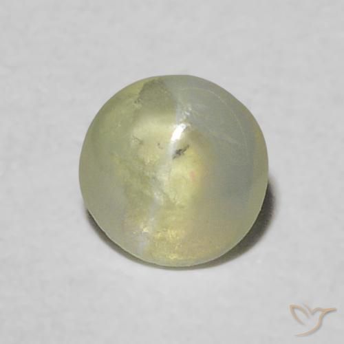 Crisoberillo effetto occhio di gatto Verde giallastro naturale da 0.26 ct, Taglio rotondo, Trasparente