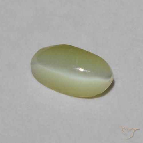 Crisoberillo effetto occhio di gatto Verde giallastro naturale da 0.31 ct, Ovale, Traslucido
