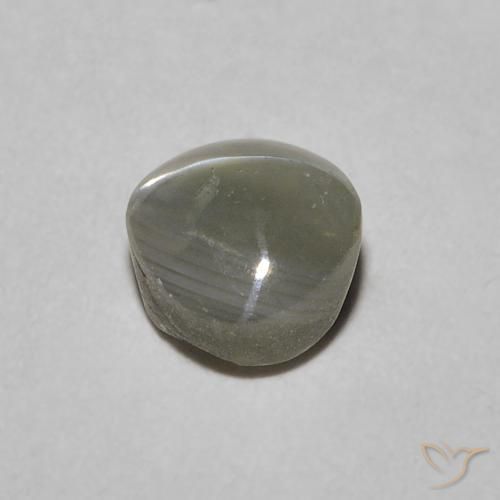 Crisoberillo effetto occhio di gatto Grigio medio naturale da 1.21 ct, Ovale, Opaco