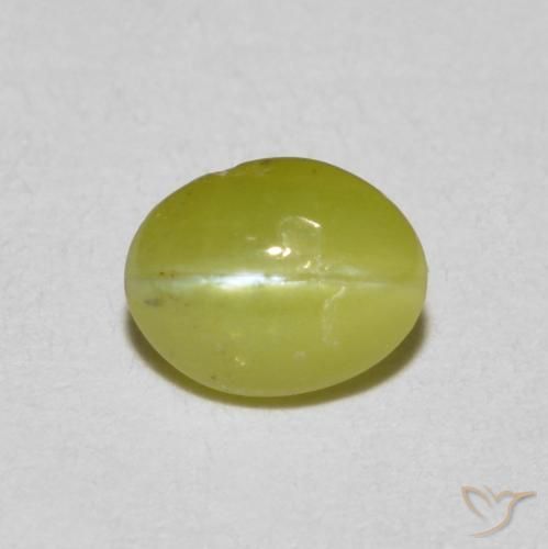 Crisoberillo effetto occhio di gatto Giallo medio naturale da 0.51 ct, Ovale, Traslucido