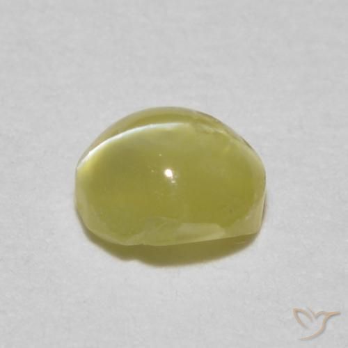 Crisoberillo effetto occhio di gatto Giallo dorato chiaro naturale da 0.34 ct, Ovale, Traslucido