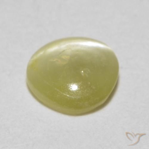 Crisoberillo effetto occhio di gatto Giallo pallido naturale da 0.36 ct, Ovale, Traslucido