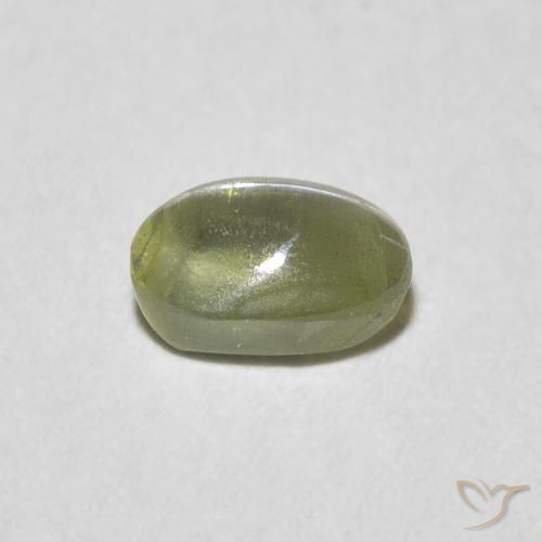Crisoberillo effetto occhio di gatto Medium Dark-Green naturale da 0.55 ct, Ovale, Traslucido