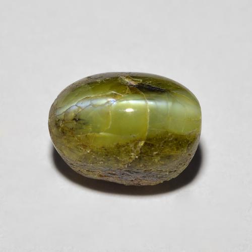 Chrysoberyl cat's eye naturale verde da 3,69 ct, taglio ovale, opaco