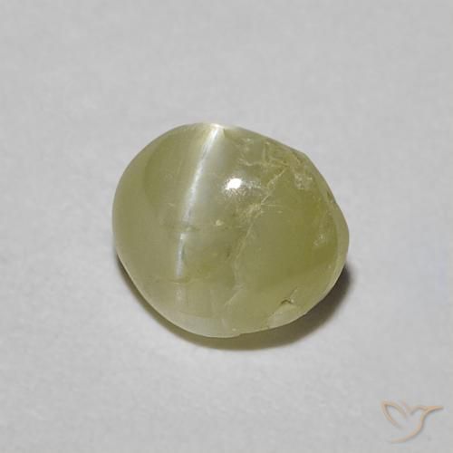 Crisoberillo effetto occhio di gatto Verde giallastro naturale da 0.60 ct, Ovale, Traslucido