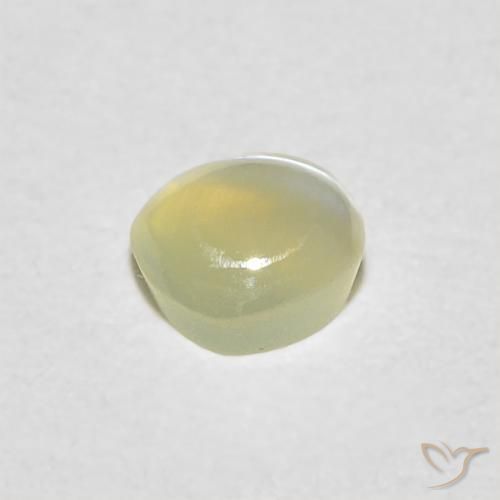 Crisoberillo effetto occhio di gatto Giallo chiaro naturale da 0.29 ct, Rotondo, Traslucido