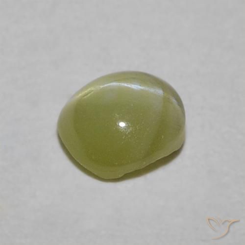 Crisoberillo effetto occhio di gatto Verde giallastro naturale da 0.47 ct, Ovale, Traslucido
