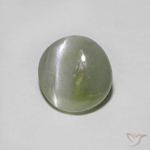 Crisoberillo effetto occhio di gatto Verde terroso naturale da 0.39 ct, Rotondo, Traslucido