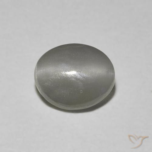 0.66ct Naturale Grigio molto chiaro Crisoberillo effetto occhio di gatto, Ovale, Traslucido