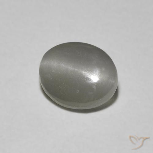 Crisoberillo effetto occhio di gatto Grigio molto chiaro naturale da 0.66 ct, Ovale, Traslucido