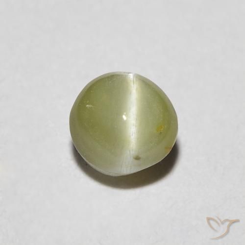 0.48ct Naturale Caldo bosco verde Crisoberillo effetto occhio di gatto, Ovale, Traslucido