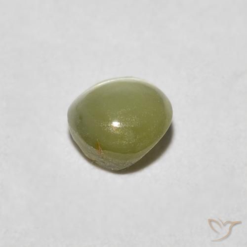Crisoberillo effetto occhio di gatto Caldo bosco verde naturale da 0.48 ct, Ovale, Traslucido