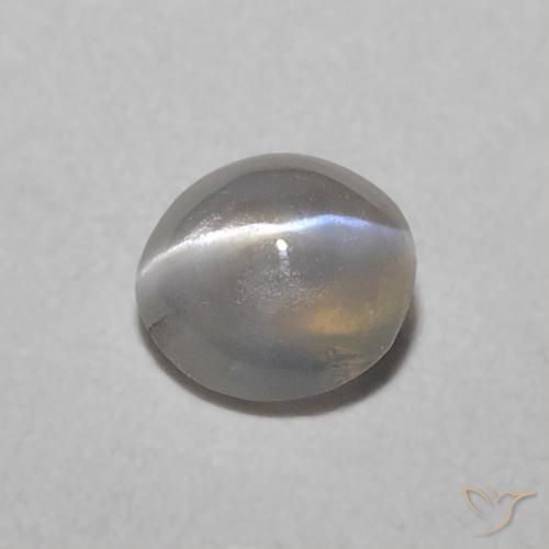 0.32ct Naturale Grigio molto chiaro Crisoberillo effetto occhio di gatto, Ovale, Traslucido