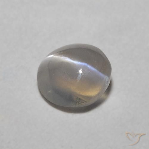 Crisoberillo effetto occhio di gatto Grigio molto chiaro naturale da 0.32 ct, Ovale, Traslucido