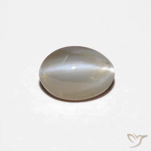 Crisoberillo effetto occhio di gatto Grigio molto chiaro naturale da 0.34 ct, Ovale, Opaco